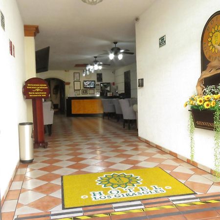 Hotel Los Girasoles 테픽 외부 사진