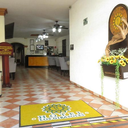 Hotel Los Girasoles 테픽 외부 사진